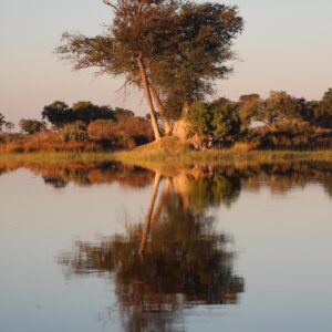 eSIM Botswana