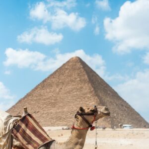 eSIM Egypte brown camel near pyramid under clear blue sky