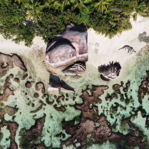 black and white duck on body of water