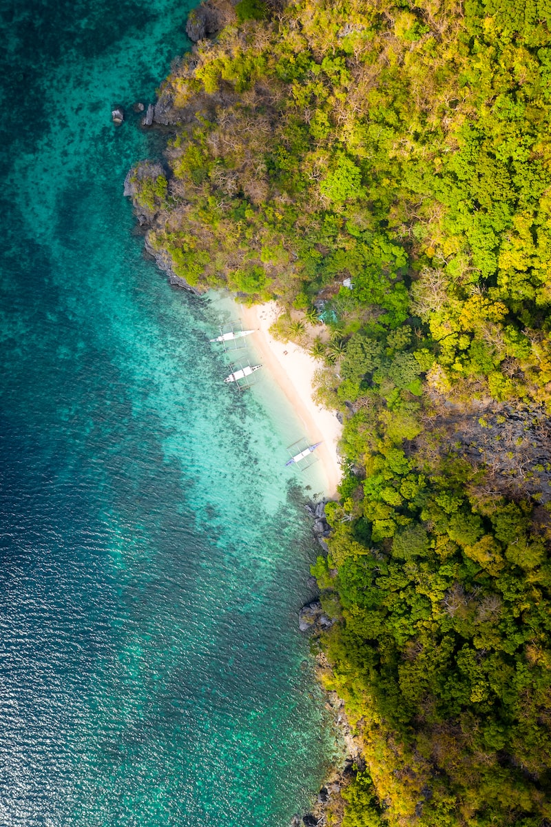 eSIM El Salvador aerial view of green trees beside body of water during daytime