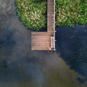 brown wooden dock on river