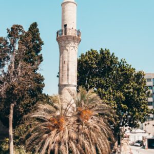 eSIM Cyprus green palm tree near white concrete tower