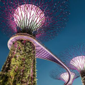 purple tree light Singapore landmark