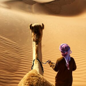 person walking beside camel