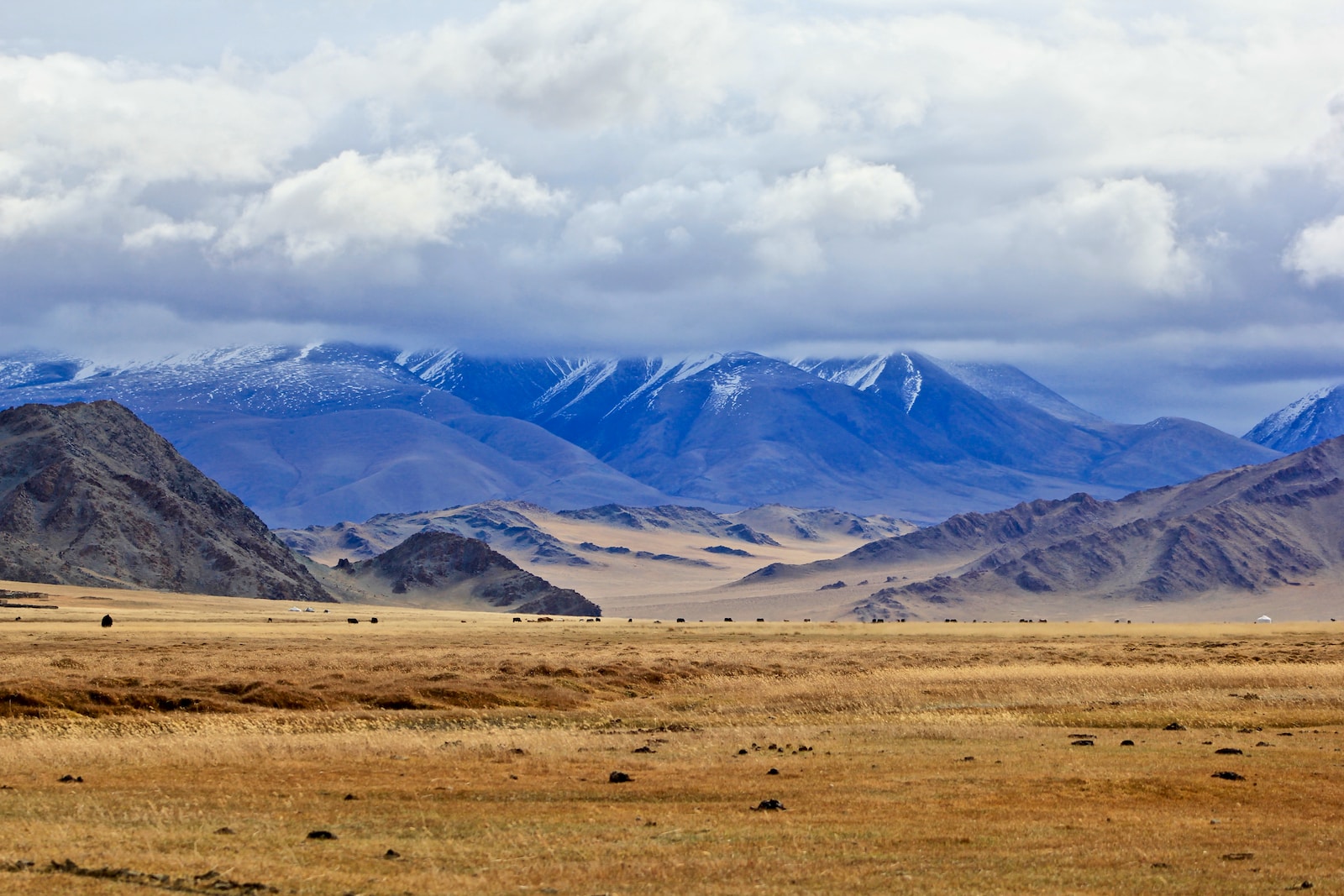 brown grass field near snow covered mountains during daytime
