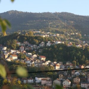 a town with trees and hills