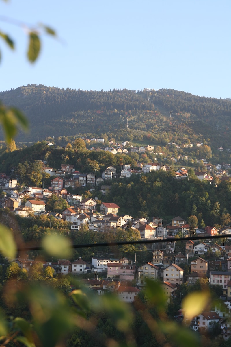 a town with trees and hills