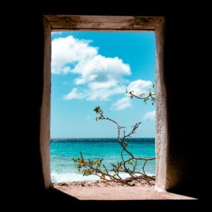 view of beach during daytime
